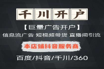 行业领先SEM托管代运营案例